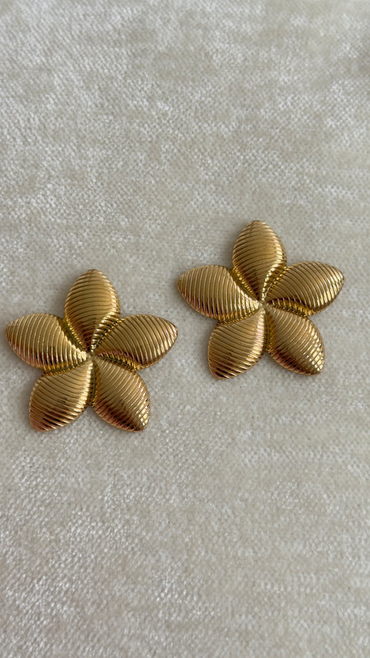 Aretes Beautiful Flowers